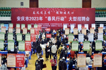 东风送真情  增援暖民气---安徽威客电竞集团参与全市招聘会系列活动
